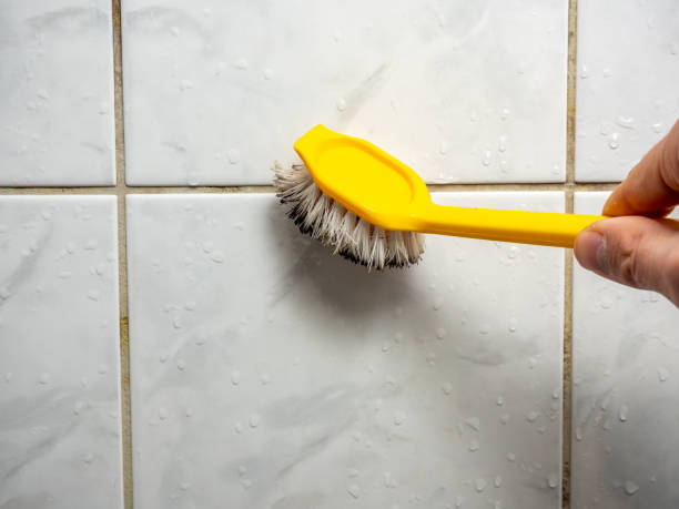 Best Mold Testing  in Round Lake Heights, IL